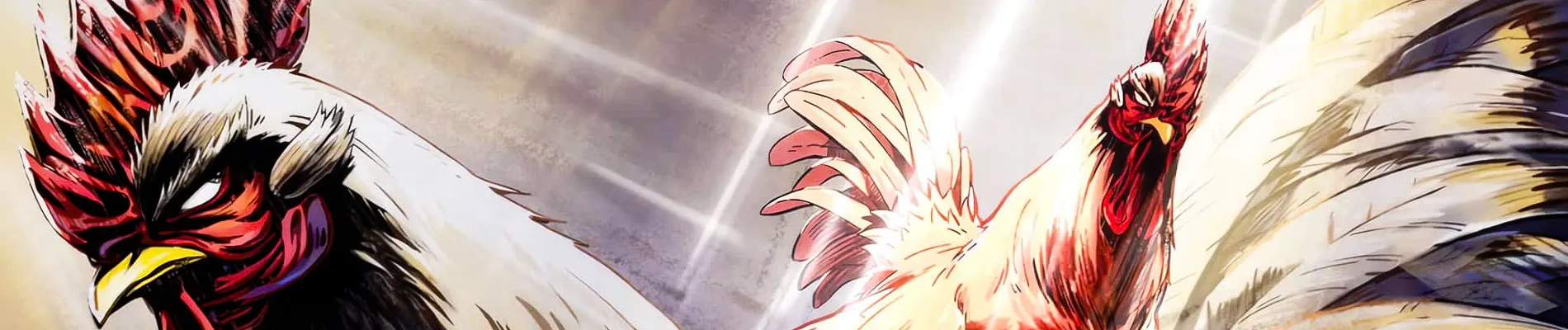 Rooster Fighter backdrop