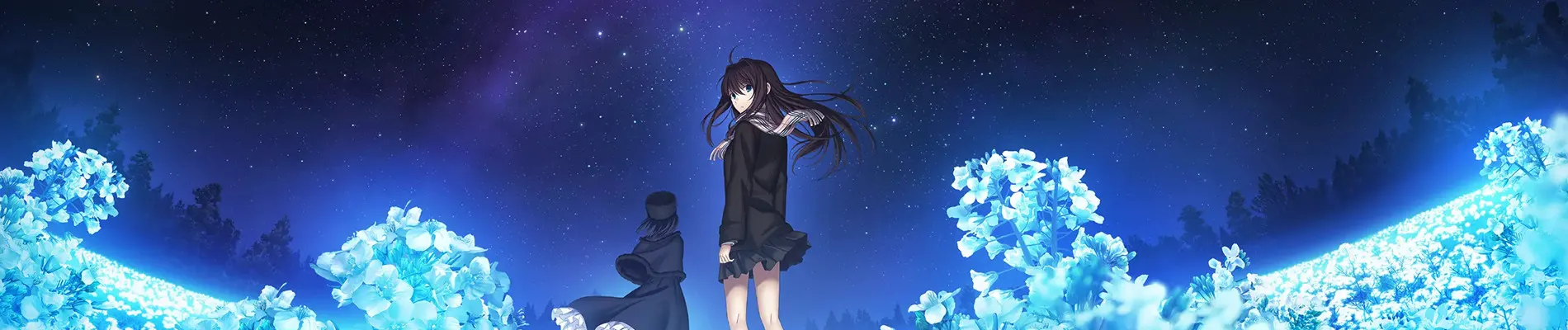 Witch on the Holy Night backdrop